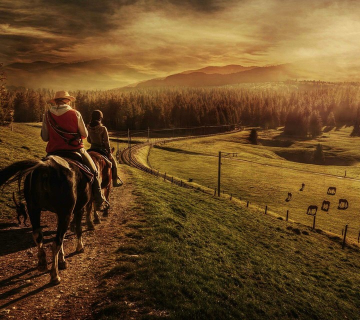 Horses