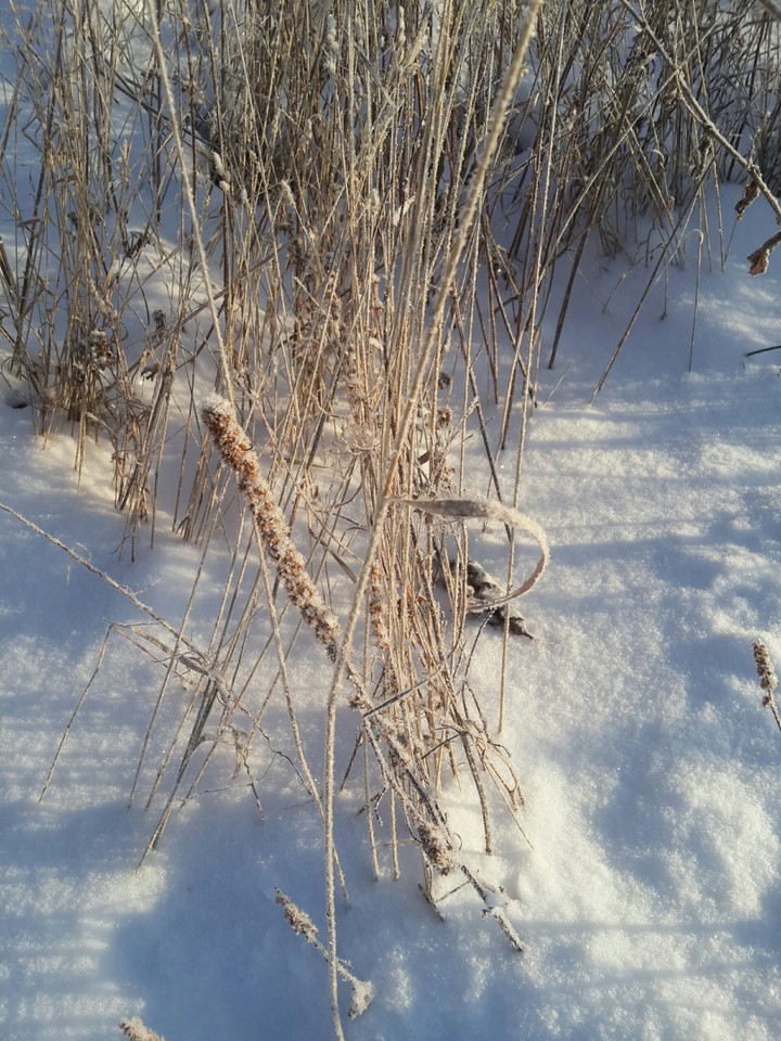 Winter in Russia