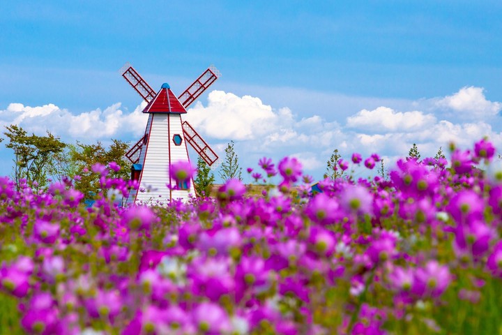 Flower power!