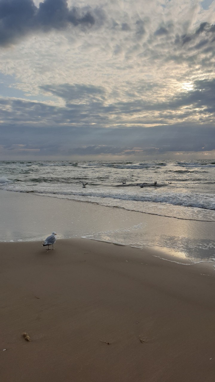 ocean