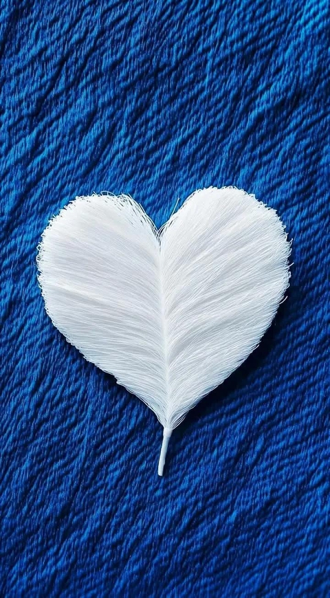 feather, heart wallpapers