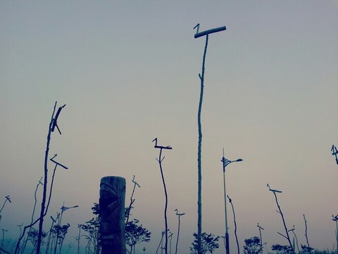 View