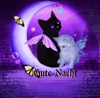 Gute Nacht