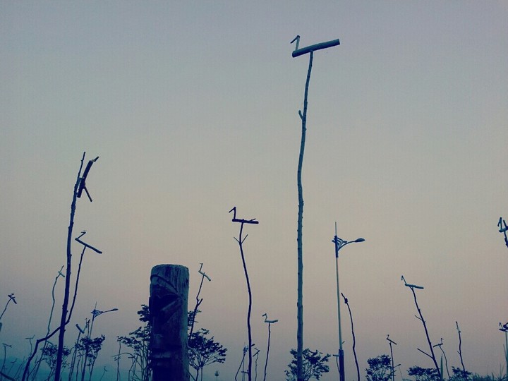 View