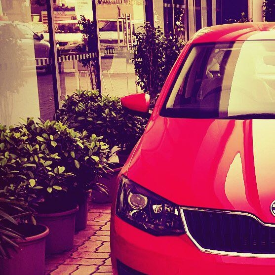 rapid in red