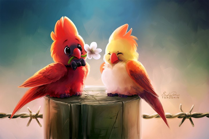 Cute birds ❤♥