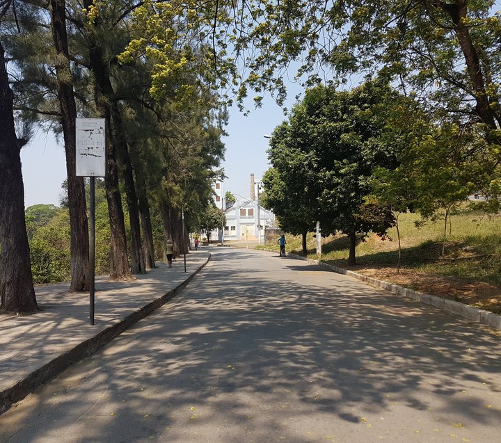 The long and winding road