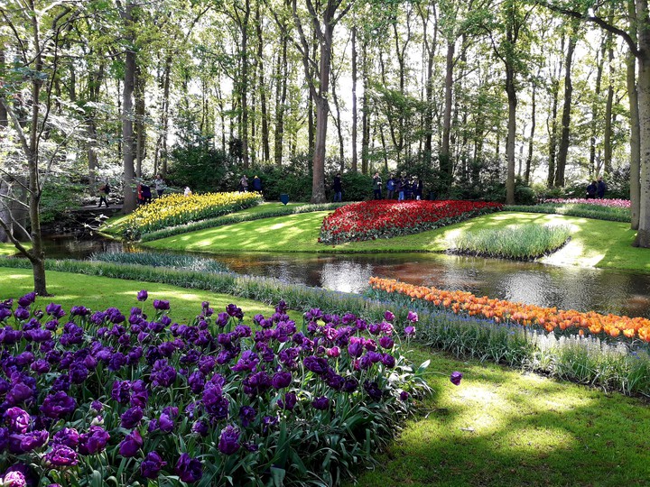 keukenhof