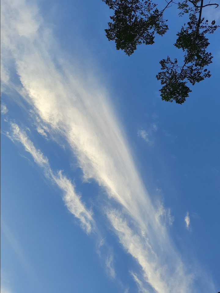 Blue sky