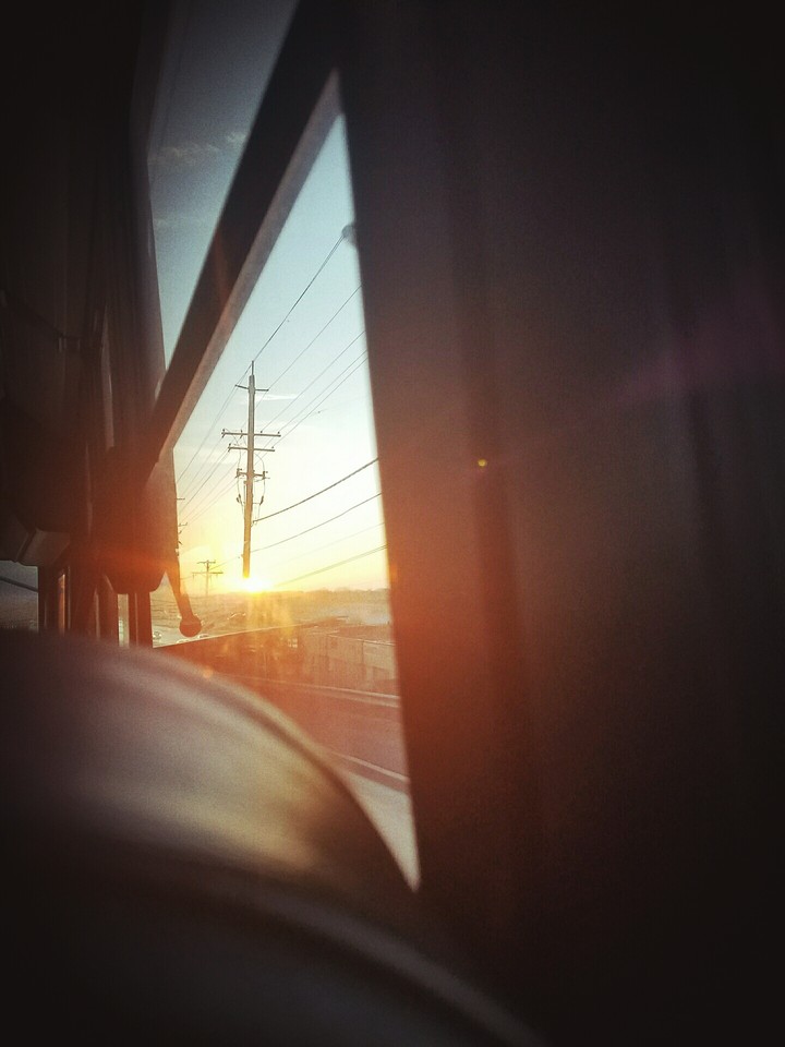 Bus