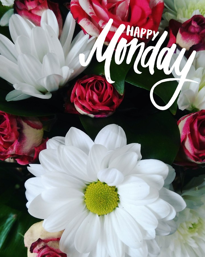 Happy Monday
