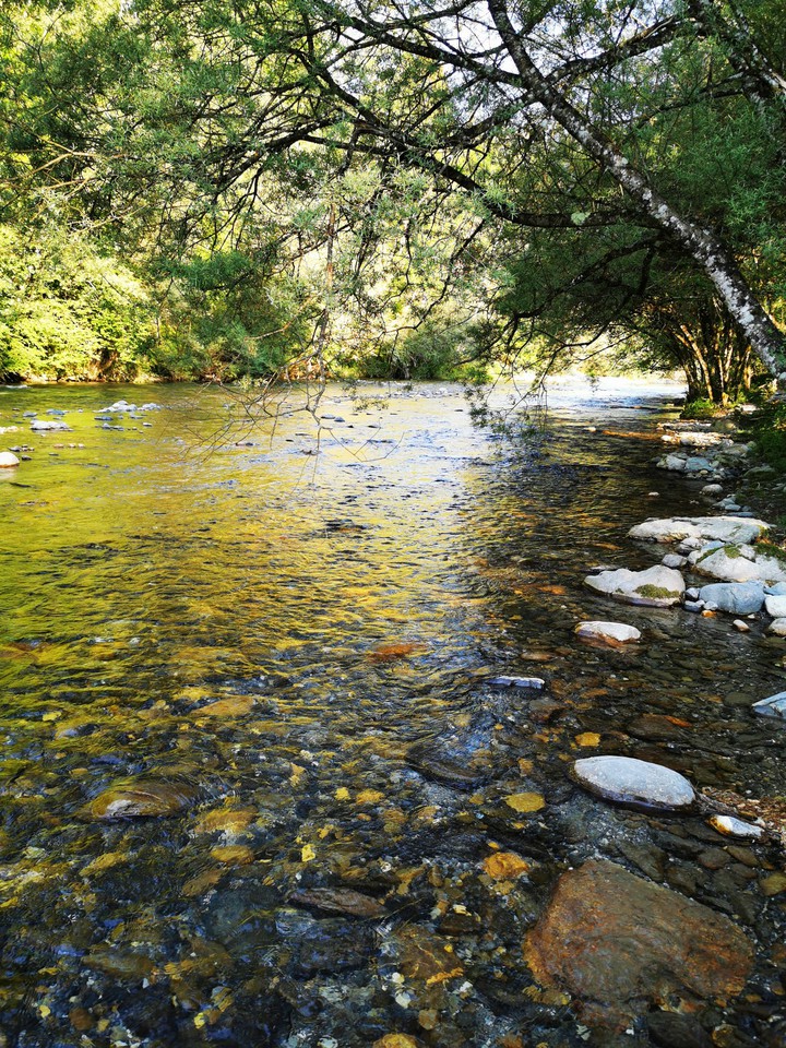 j'aime la nature