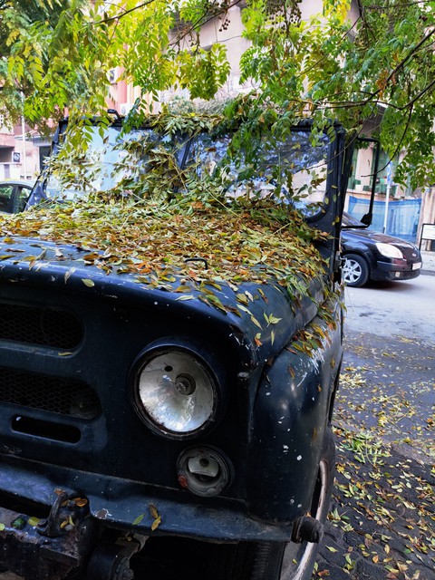 Autumn makes everything beautiful