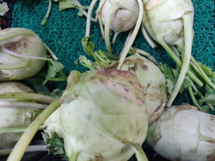 bok Choy
