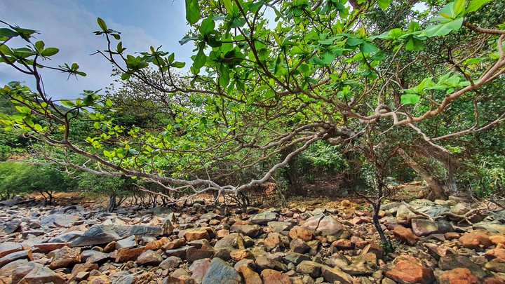 Con Dao Island, Vietnam