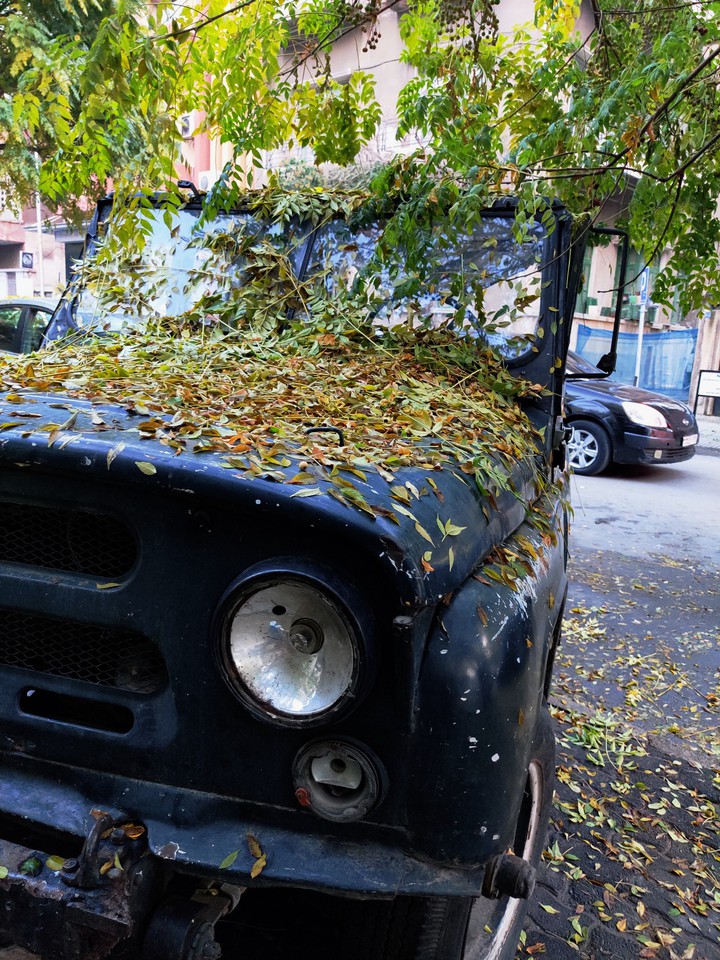 Autumn makes everything beautiful