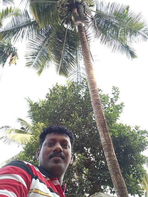 @ Mangalore