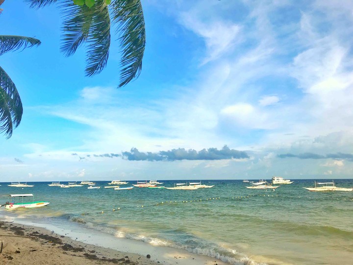 Alona Beach