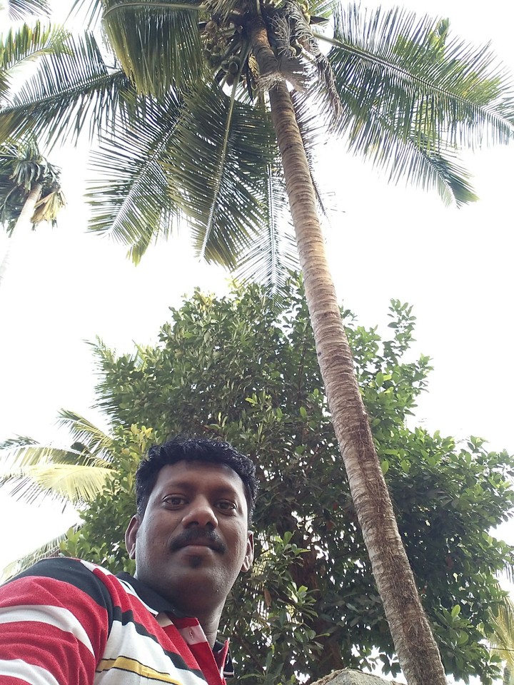 @ Mangalore