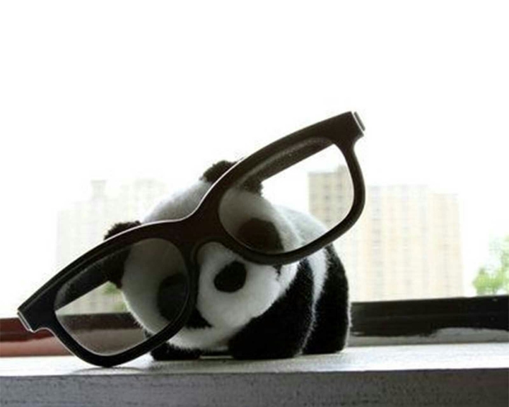 baby panda