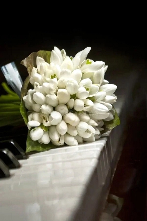 hình nền tuberose, snowdrop