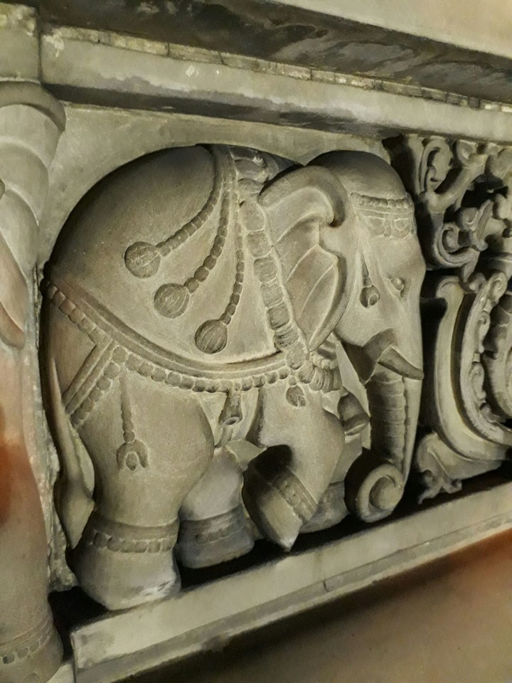 Elephant
