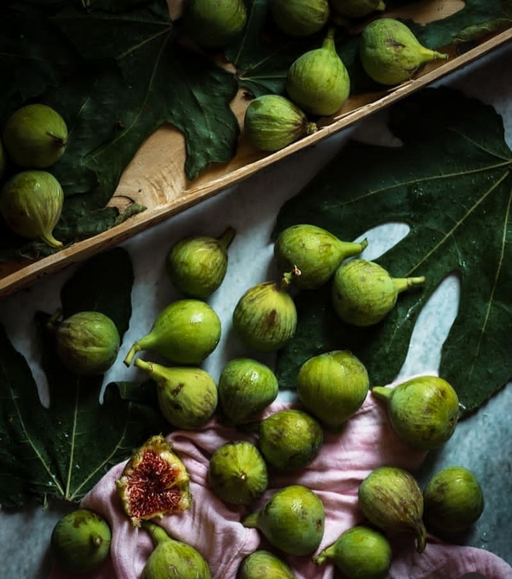 Fig