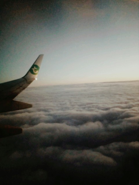 Flight