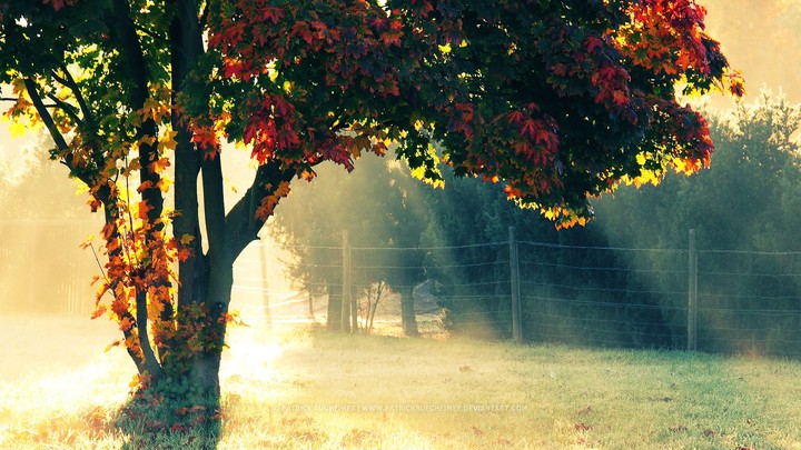 Morning