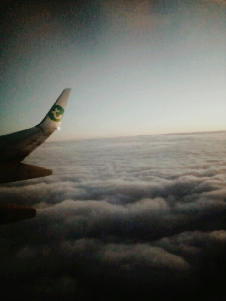 Flight