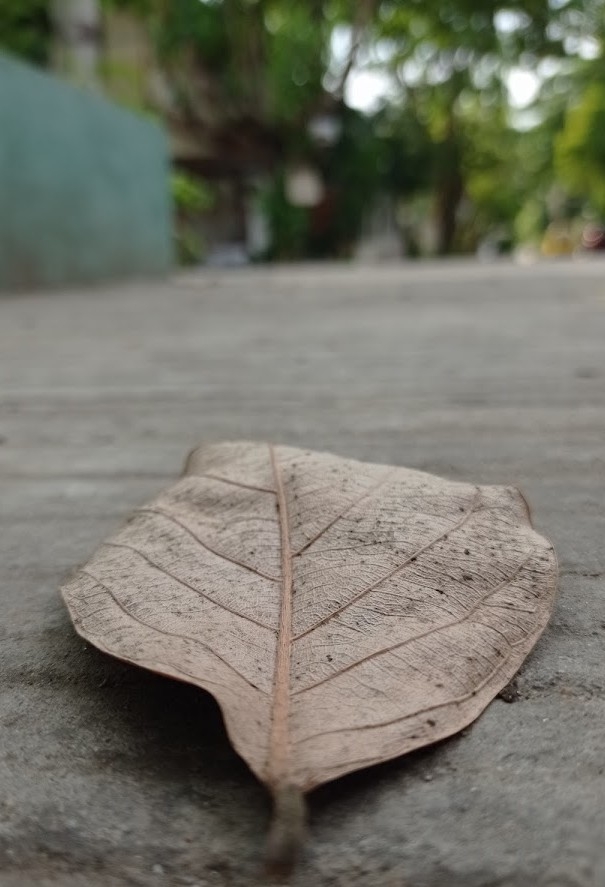 .