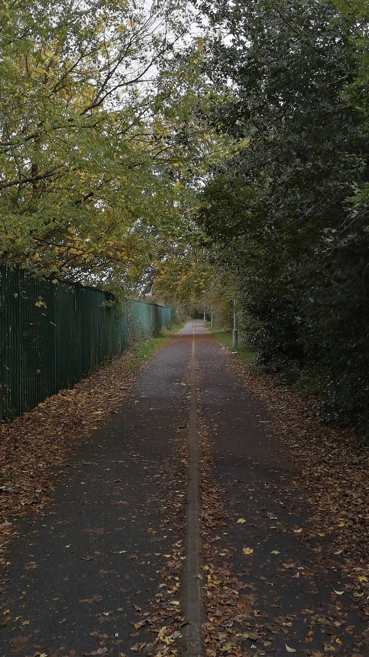 beautiful autumn