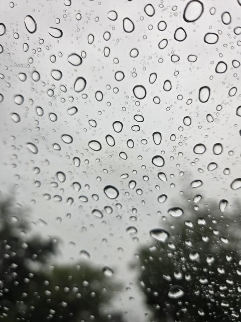 moisture, drop Hintergrundbilder