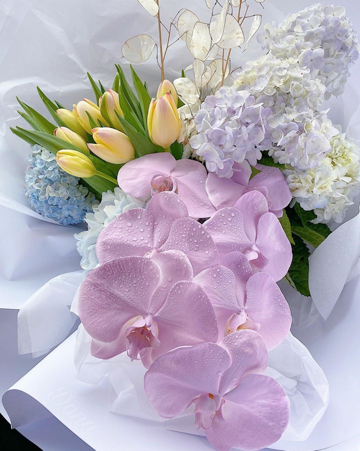 Orchidea & droplets