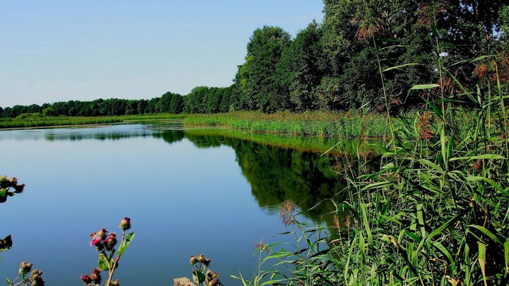 warm lake