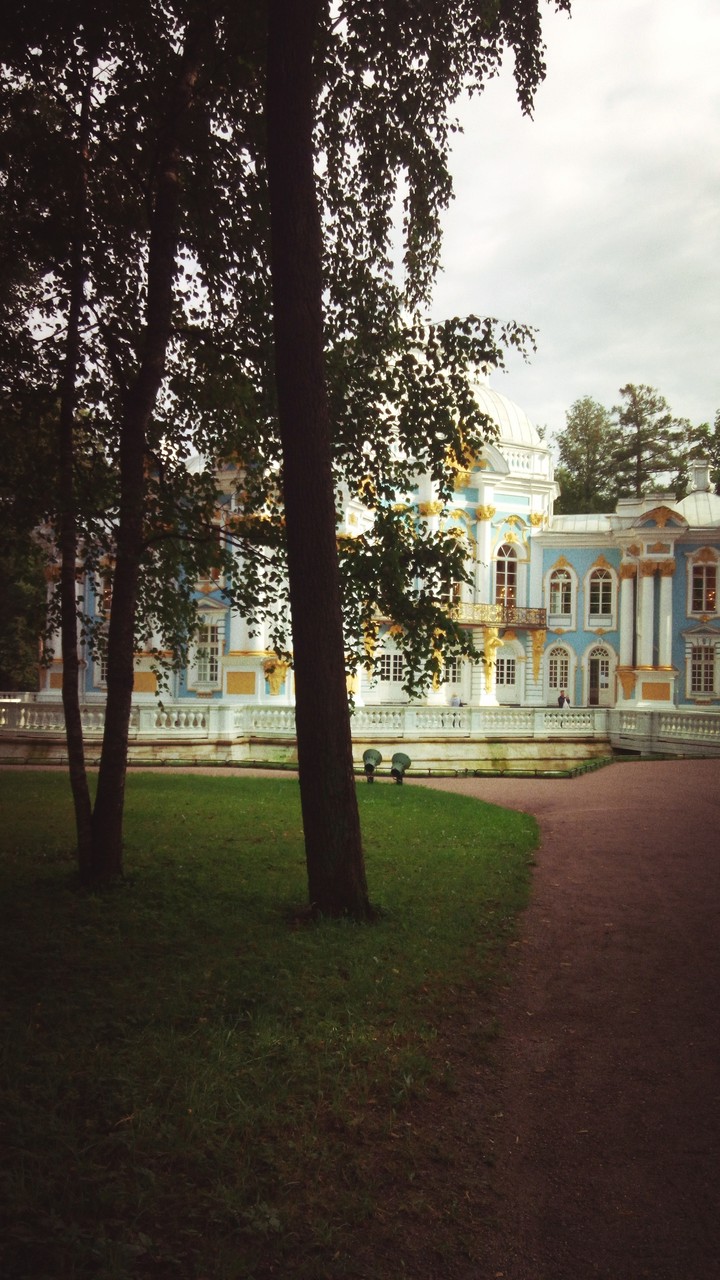 кпасота