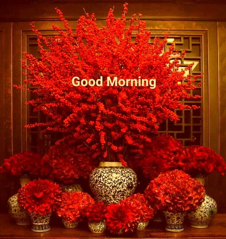 good morning