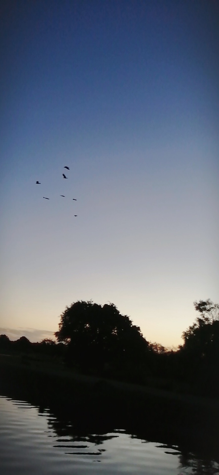 beautiful