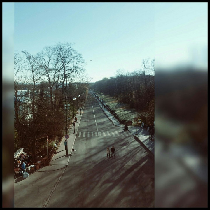 #Saint-Petersburg #way #trees