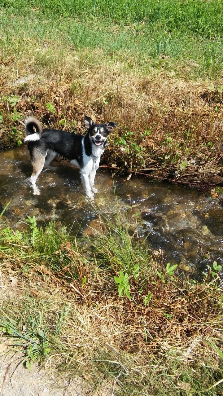 a walk to the river