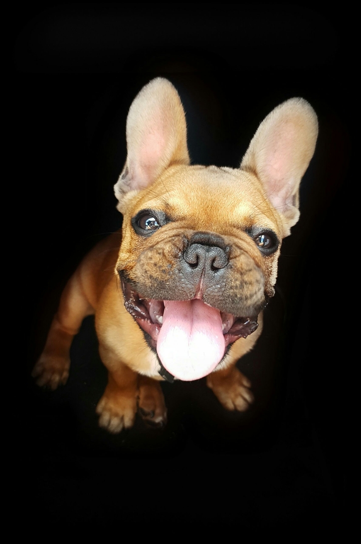Samu