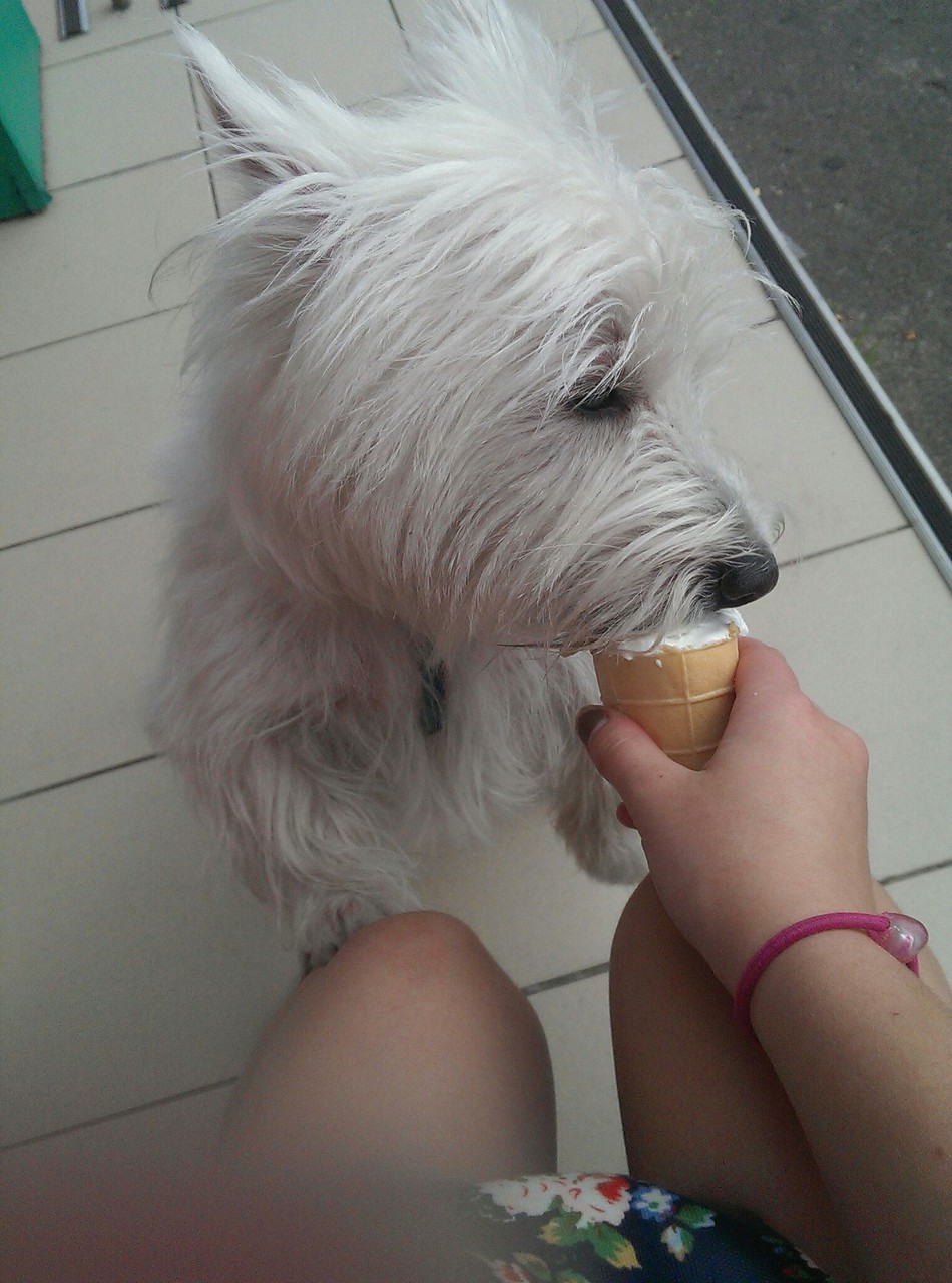 ice cream