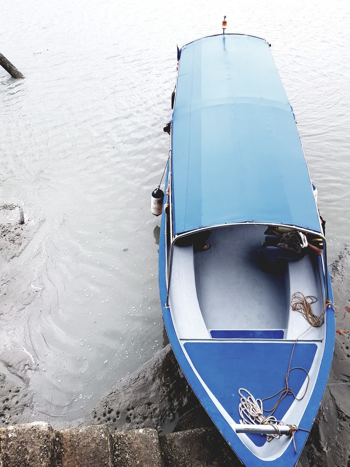 Boat Rides