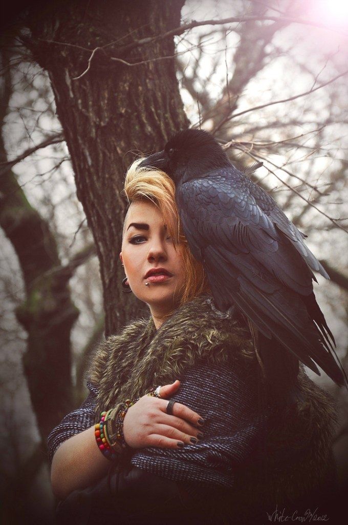Raven