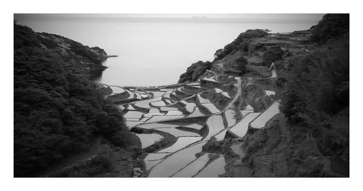 棚田
