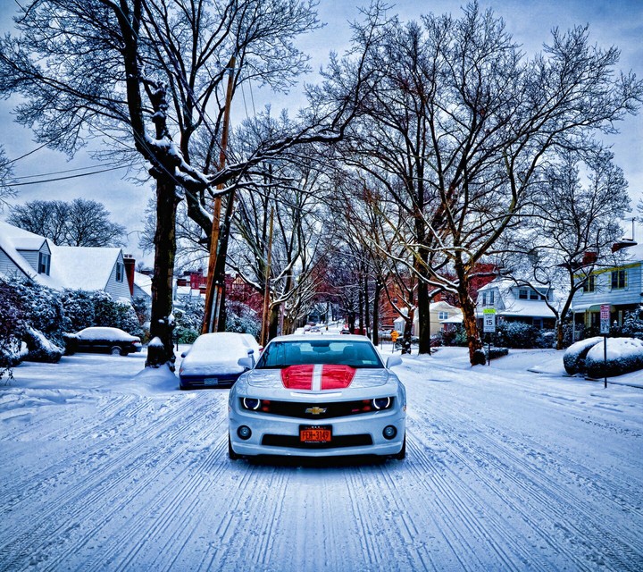 beautiful pic