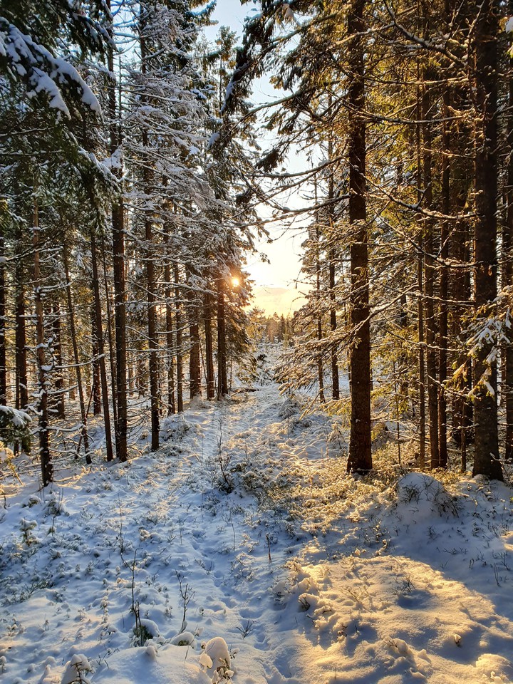 winter