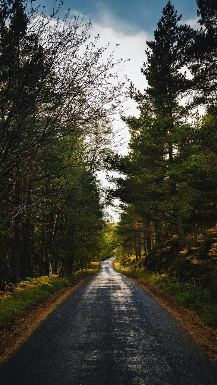 nature