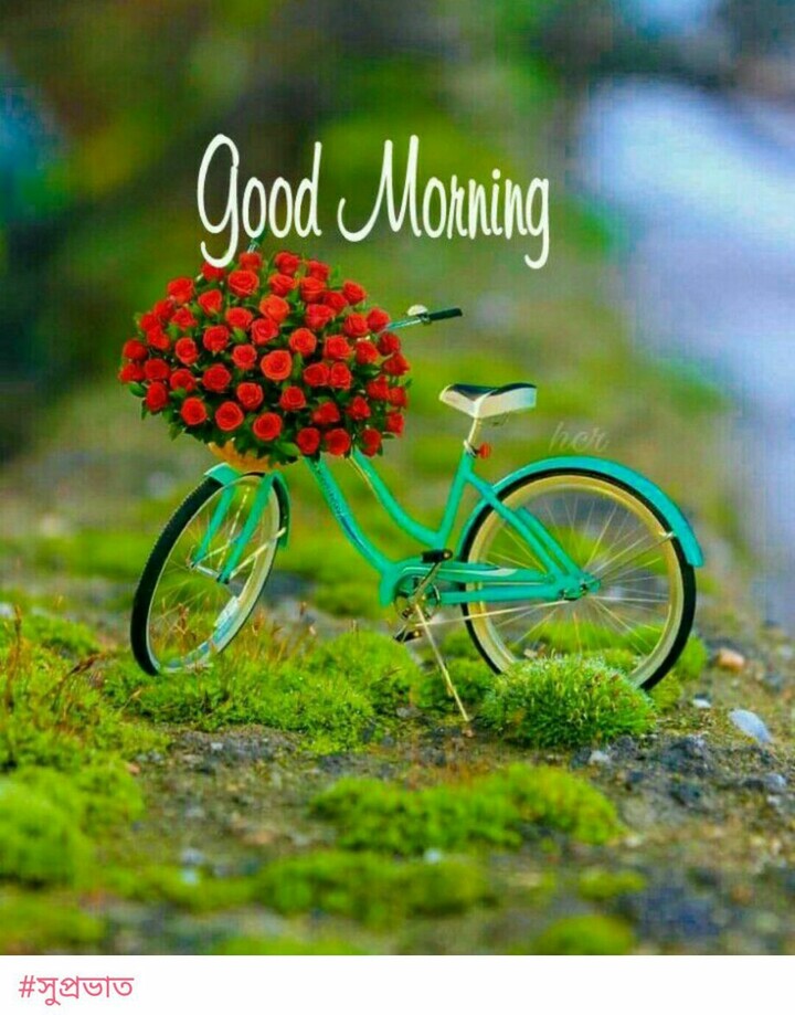 goodmorning