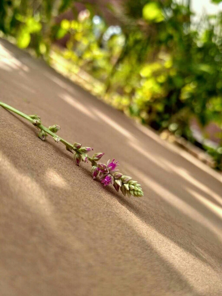 focus